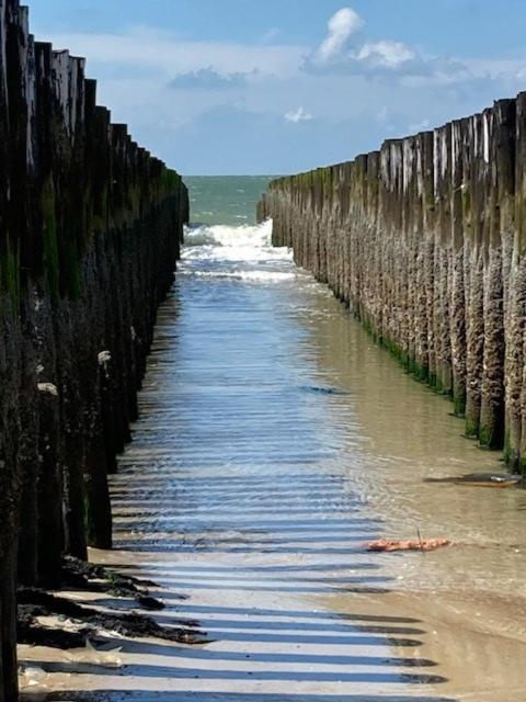 Duinstrand Burgh-Haamstede Buitenkant foto